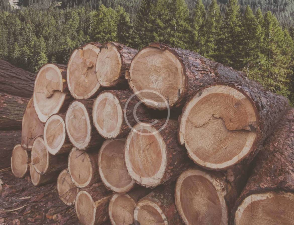 post-8.jpg