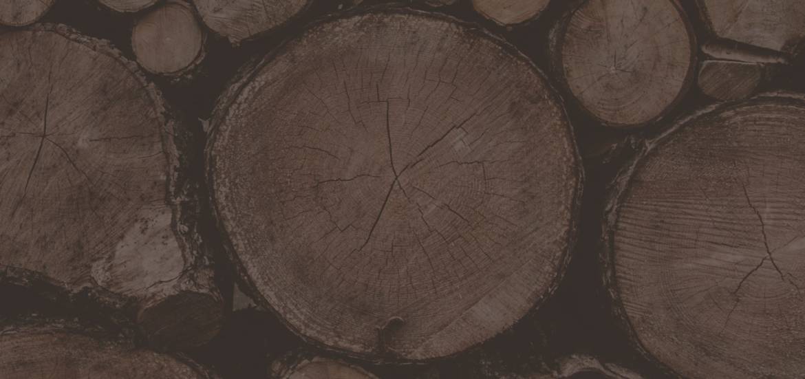 01_home-1-slide-11.jpg